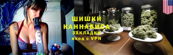 ГАЛЛЮЦИНОГЕННЫЕ ГРИБЫ Великий Новгород