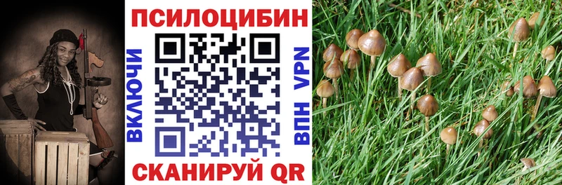 Псилоцибиновые грибы Magic Shrooms  omg   Темников 